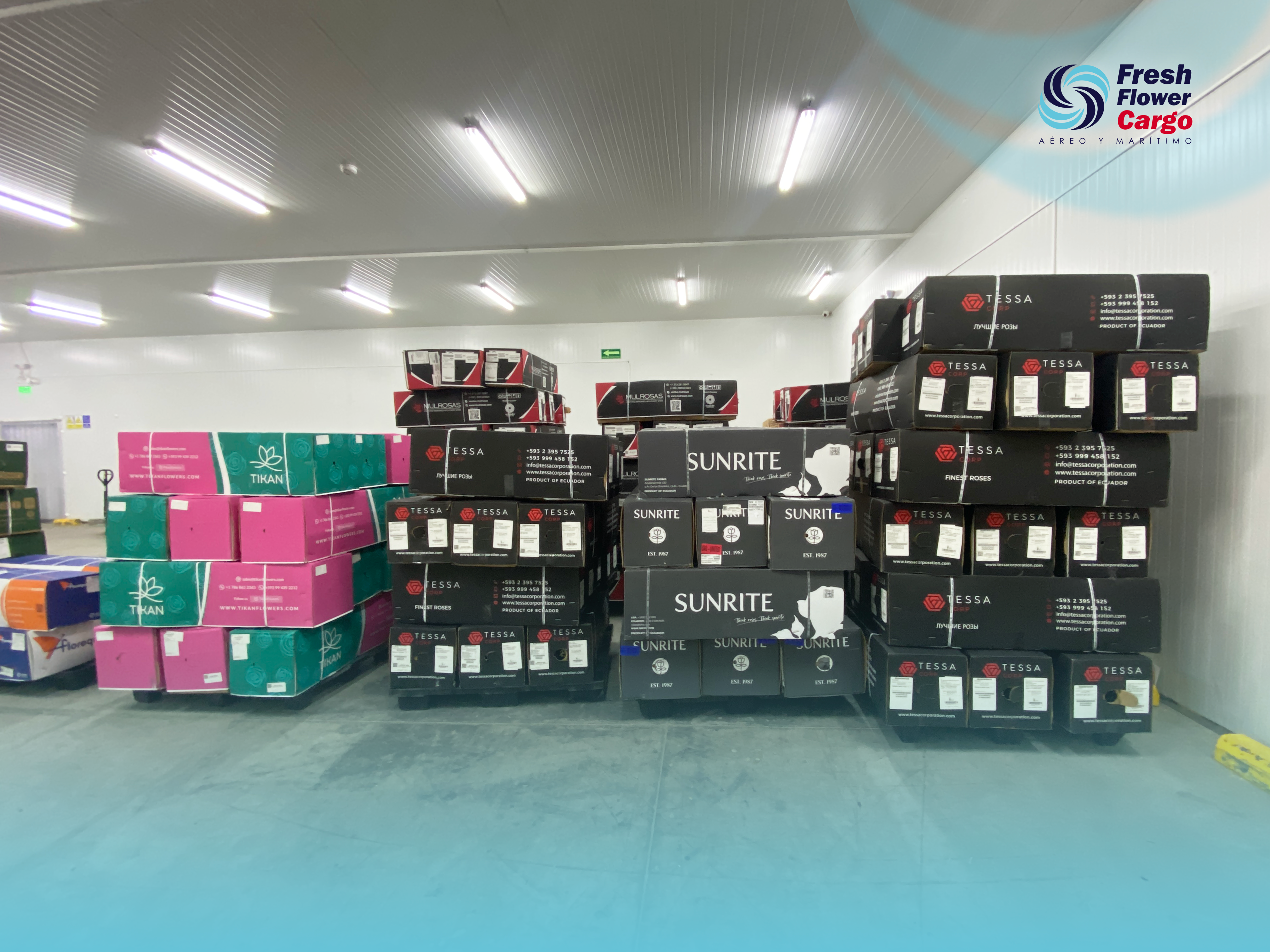 FRESH FLOWER CARGO 01